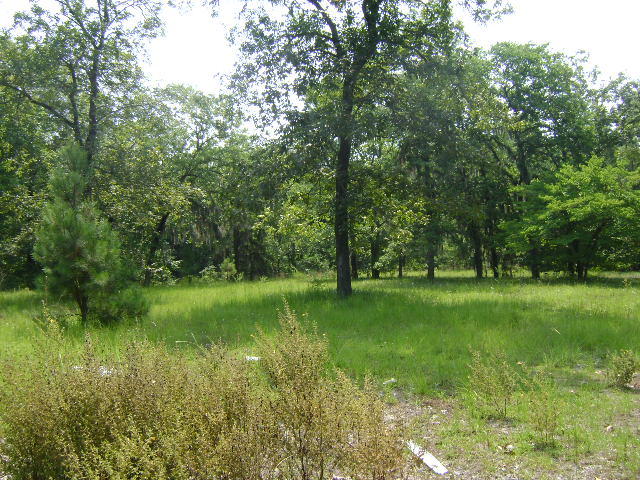 168 Oleander Road Walterboro, SC 29488 - Photo 2 of 4 002