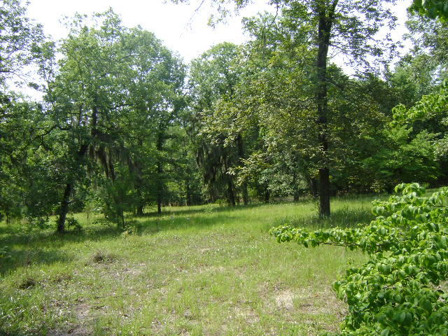 168 Oleander Road Walterboro, SC 29488 - Photo 4 of 4 005