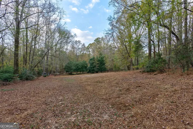 a view of a field with trees in background