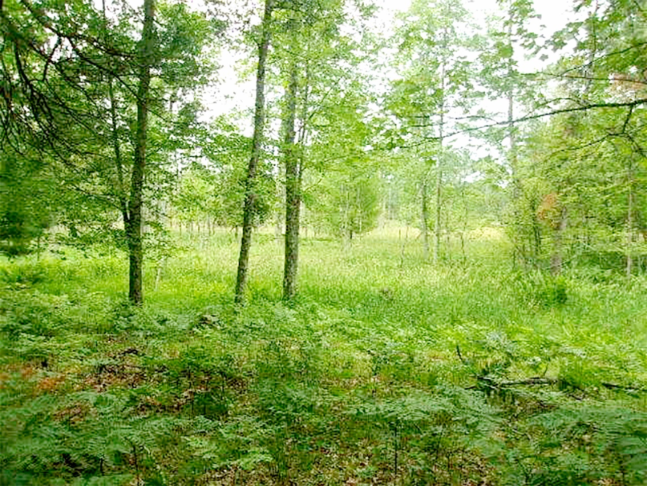 8292 East Kinney Road Branch, MI 49402 - Photo 41 of 43