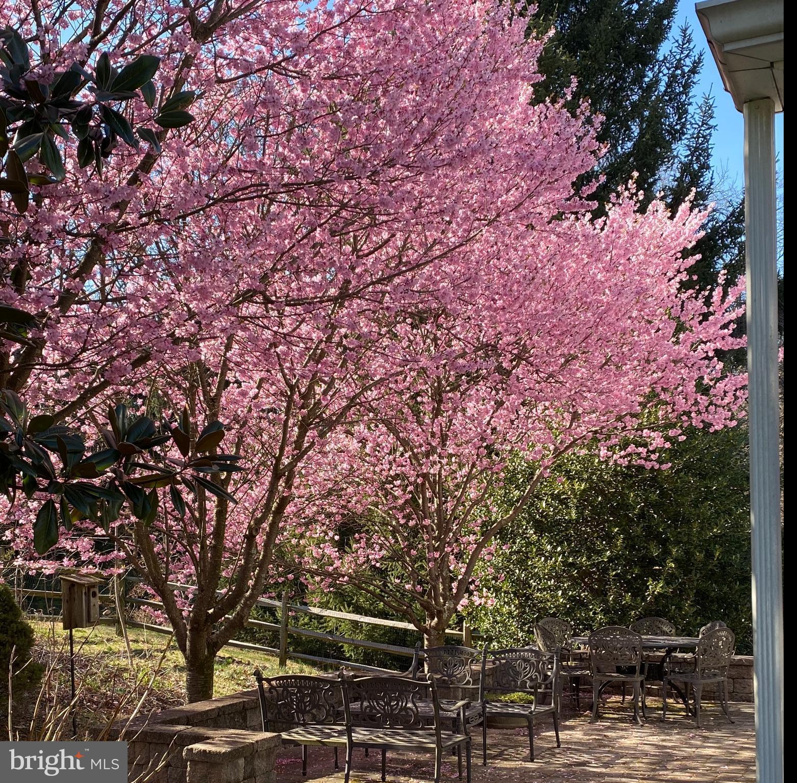 967 Ethan Allen Road Berwyn, PA 19312 - Photo 10 of 59 Photo from Spring