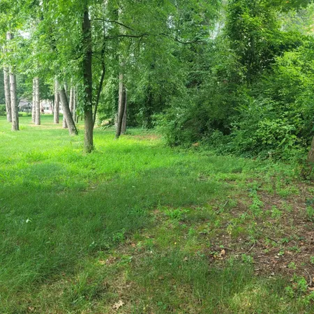 $18,000 | 11348 Oakwood Drive, Jerome, MI 49249