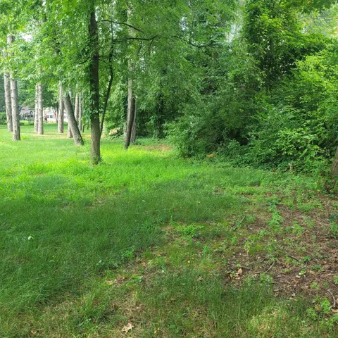 $18,000 | 11348 Oakwood Drive, Jerome, MI 49249