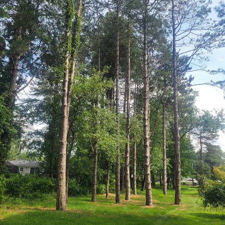 $18,000 | 11348 Oakwood Drive, Jerome, MI 49249