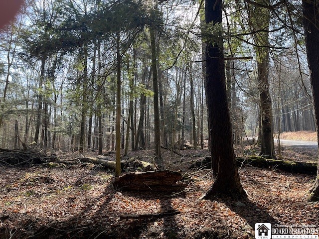 0 Fenner Road Sinclairville, NY 14782 - Photo 2 of 9