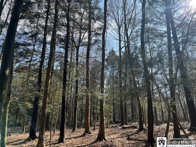 0 Fenner Road Sinclairville, NY 14782 - Photo 3 of 9