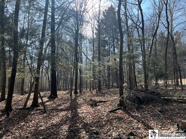 0 Fenner Road Sinclairville, NY 14782 - Photo 4 of 9