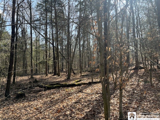 0 Fenner Road Sinclairville, NY 14782 - Photo 5 of 9