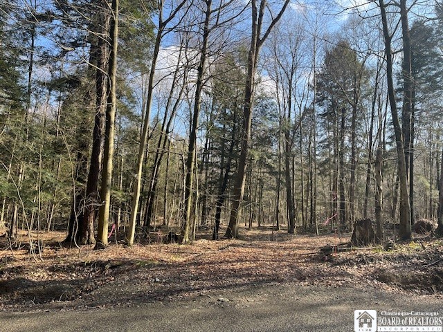 0 Fenner Road Sinclairville, NY 14782 - Photo 6 of 9