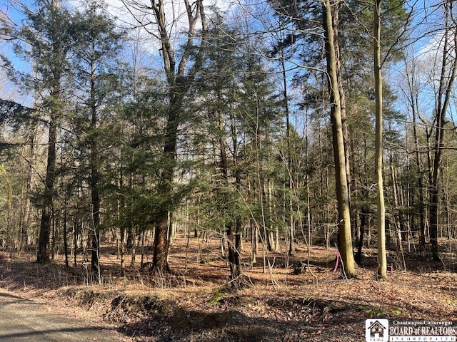 0 Fenner Road Sinclairville, NY 14782 - Photo 7 of 9