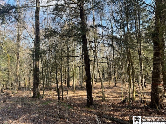 0 Fenner Road Sinclairville, NY 14782 - Photo 8 of 9