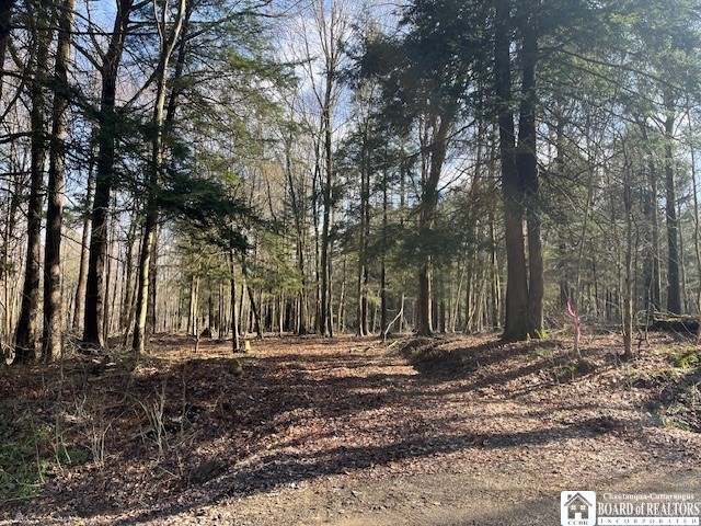 0 Fenner Road Sinclairville, NY 14782 - Photo 9 of 9