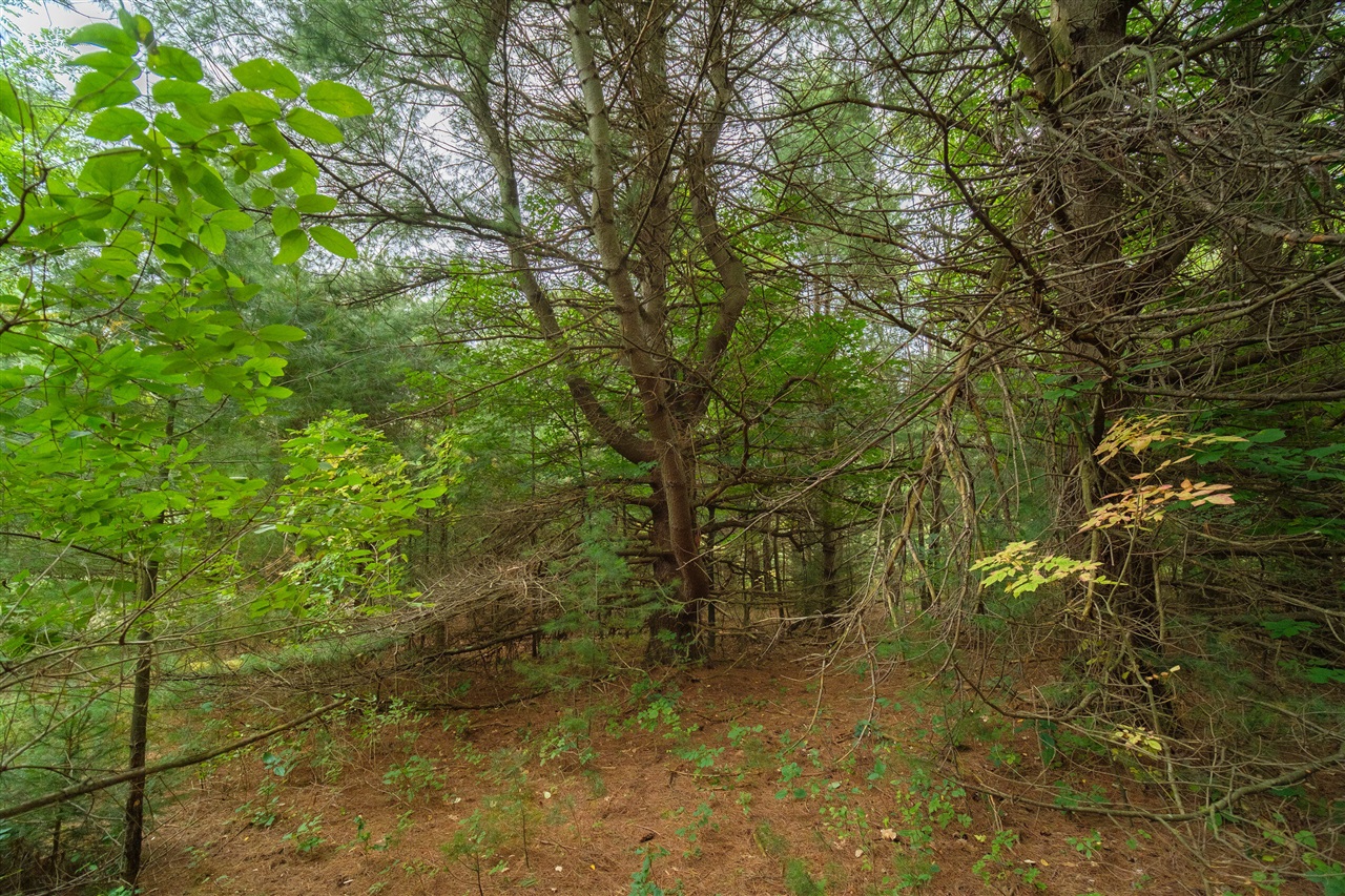 0 Erdman Road Onekama, MI 49675 - Photo 10 of 69 Gallery Image 10