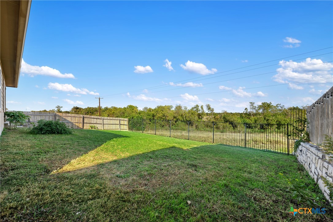 117 Liard River Road Hutto, TX 78634 - Photo 2 of 48 a view of outdoor space and yard