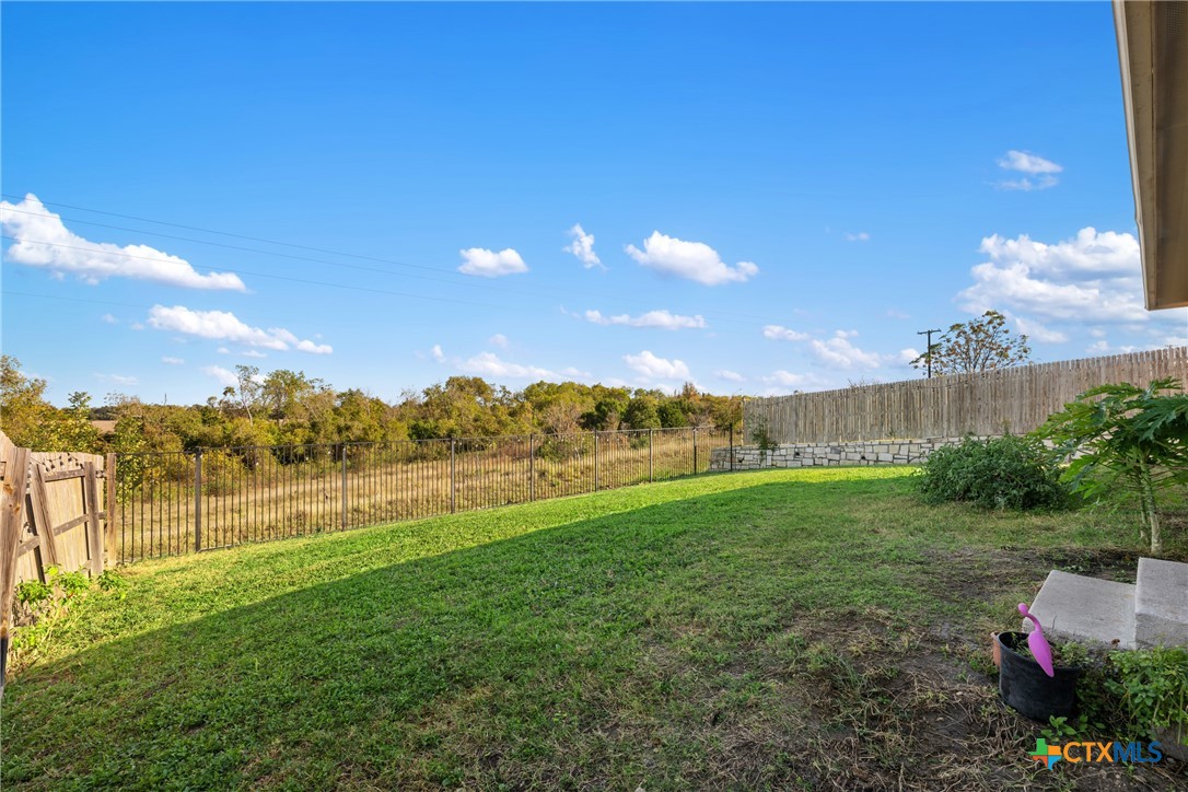 117 Liard River Road Hutto, TX 78634 - Photo 42 of 48 a view of an outdoor space and a yard