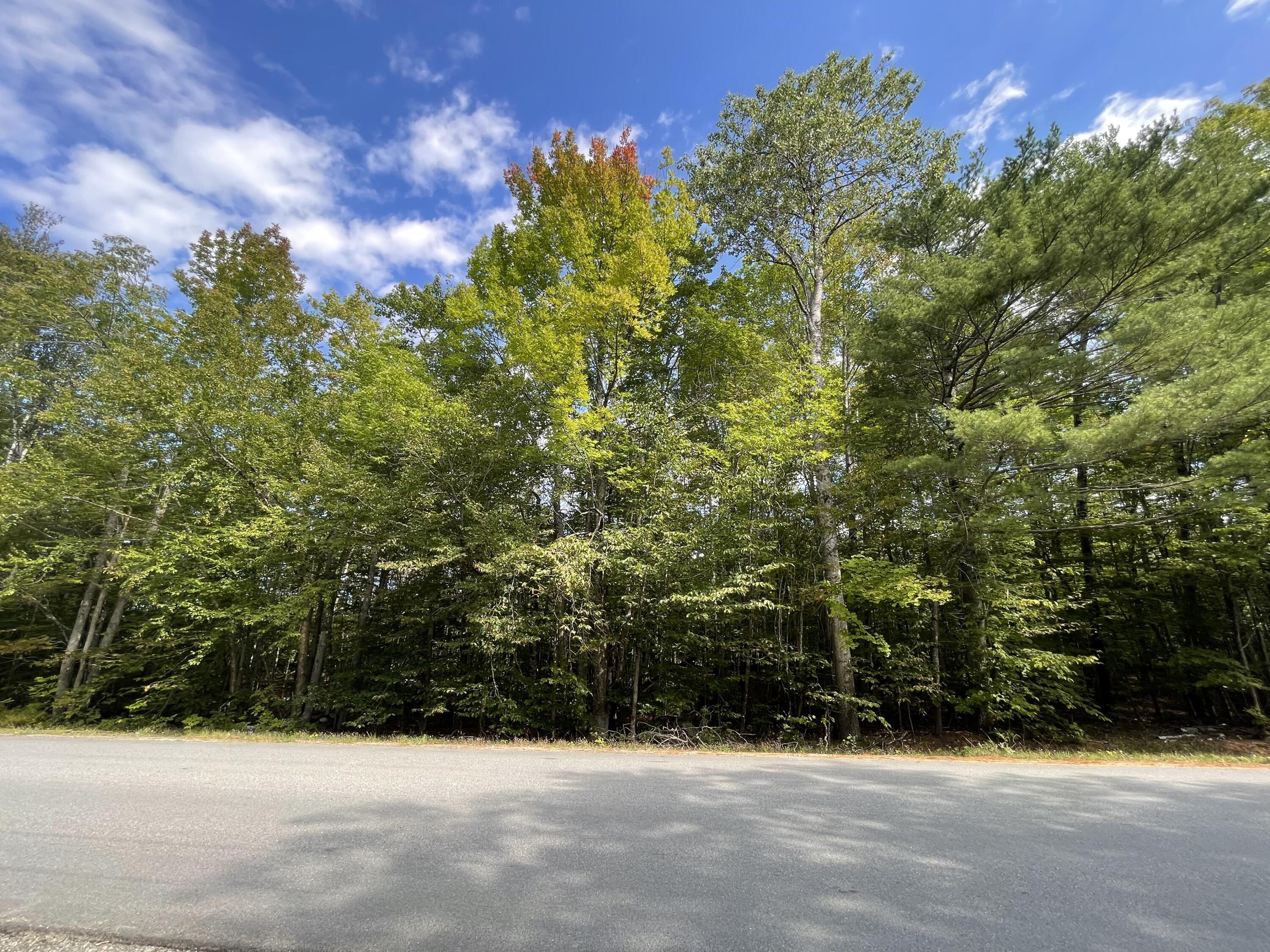 Lot 10-2 Lily Road Dedham, ME 04429 - Photo 2 of 7 CB3989B7-FDA2-49F1-8B22-AE43BD903C69