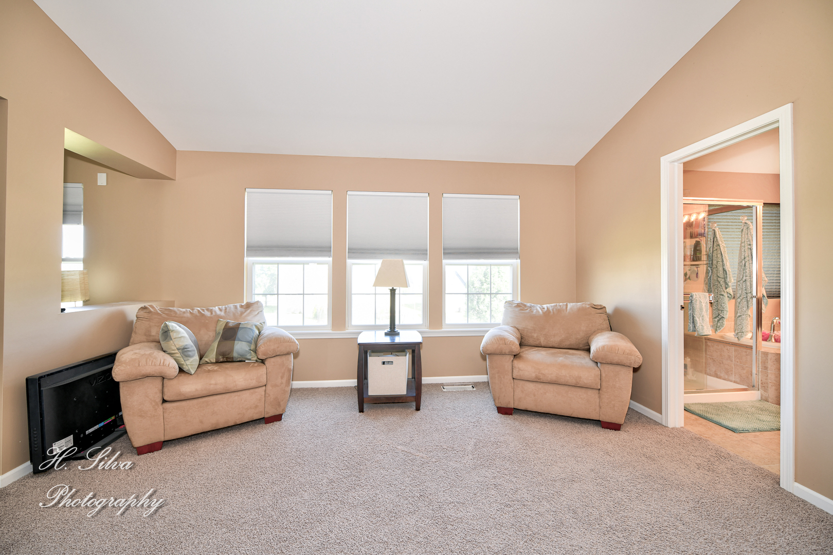 249 Sonora Drive Elgin, IL 60124 - Photo 22 of 42 a living room with furniture and a large window