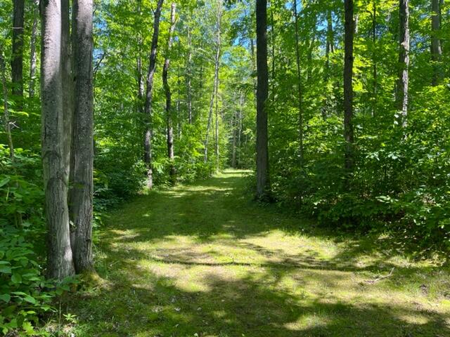West Townline Road Grayling, MI 49738 - Photo 10 of 44 Gallery Image 10