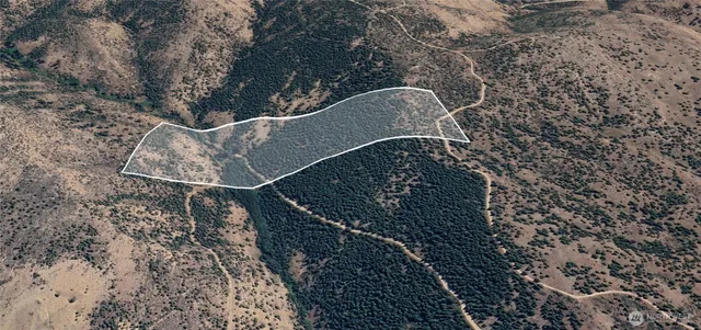 a view of a backyard with chairs and potted plants