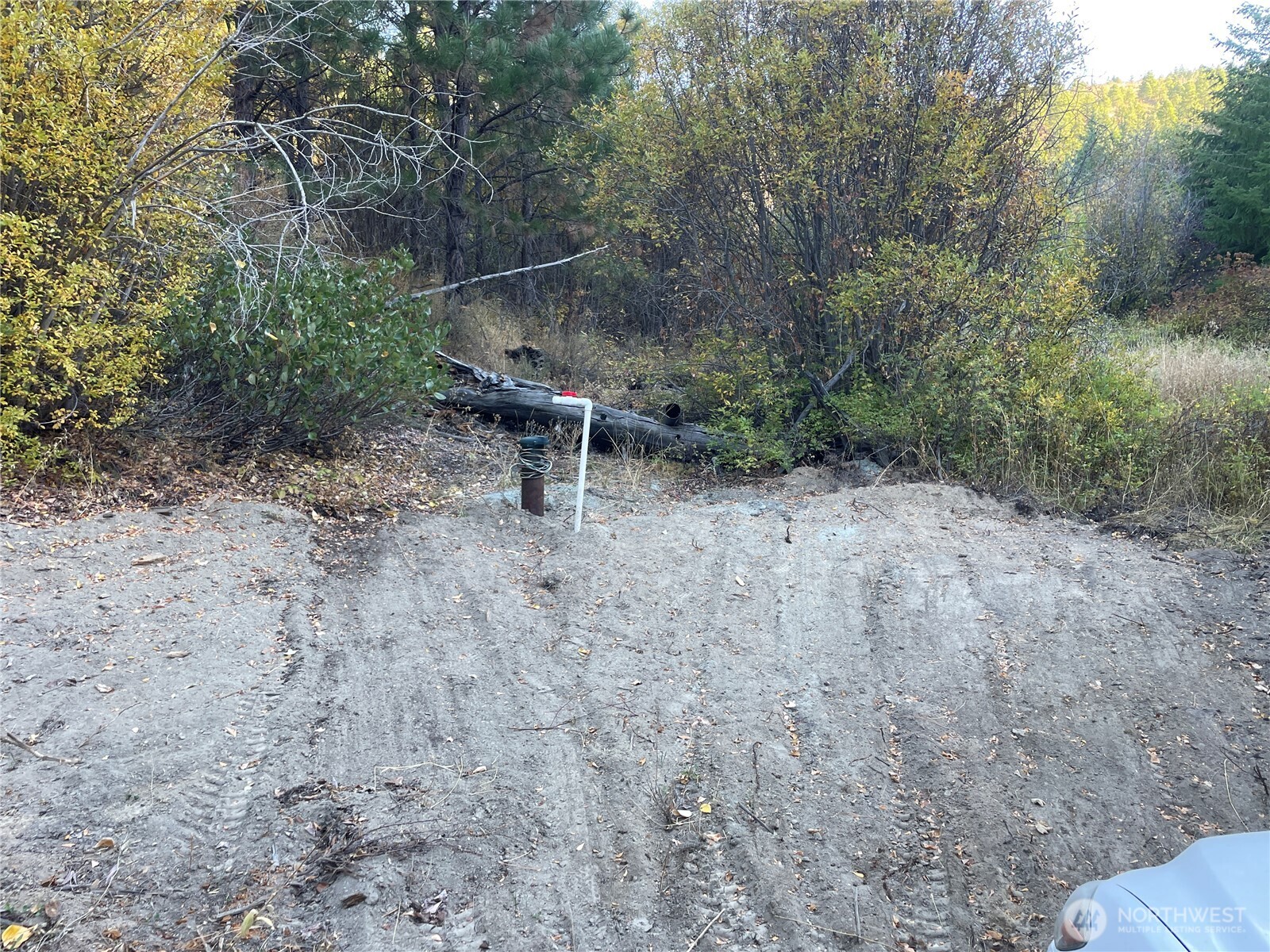 0 Potato Creek Entiat, WA 98822 - Photo 3 of 28 a view of a forest filled with trees