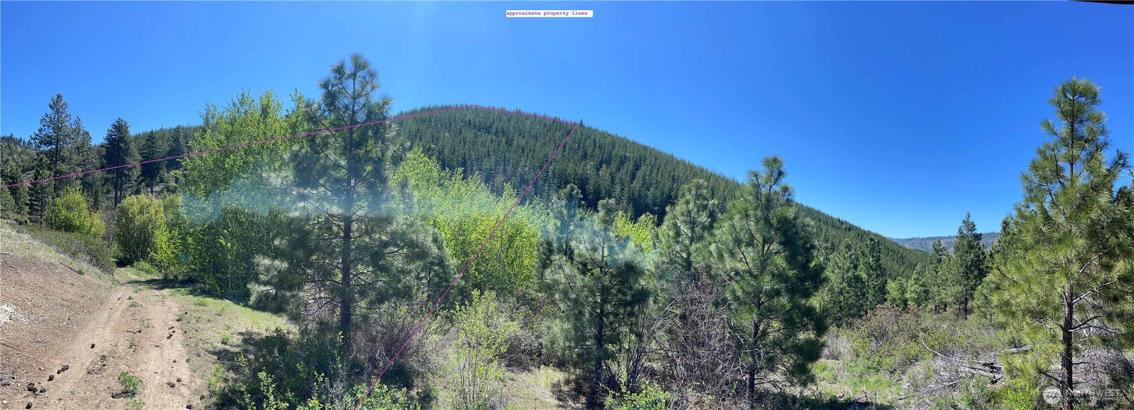 0 Potato Creek Entiat, WA 98822 - Photo 4 of 28 a view of a garden
