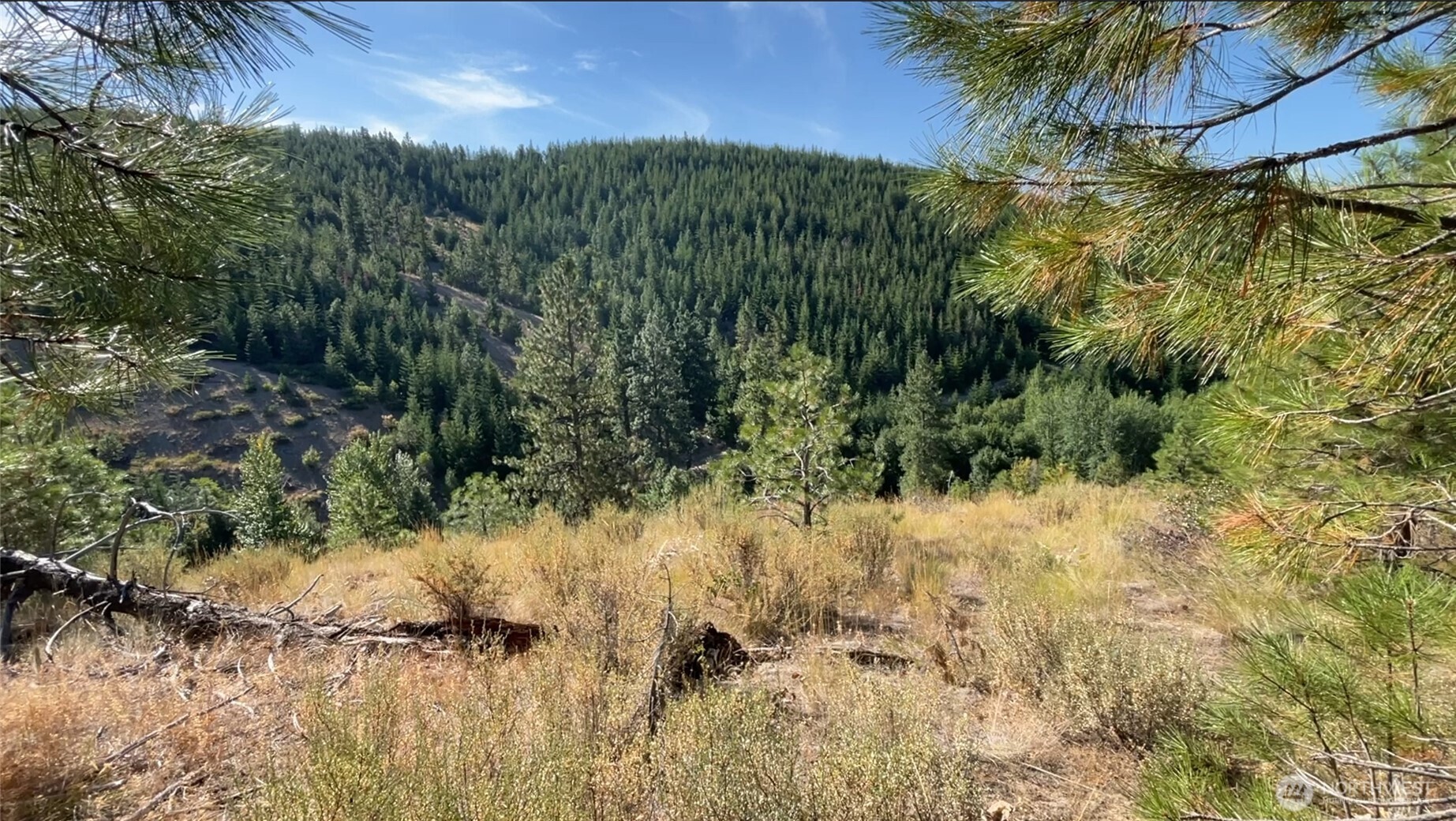 0 Potato Creek Entiat, WA 98822 - Photo 8 of 28 a view of a yard