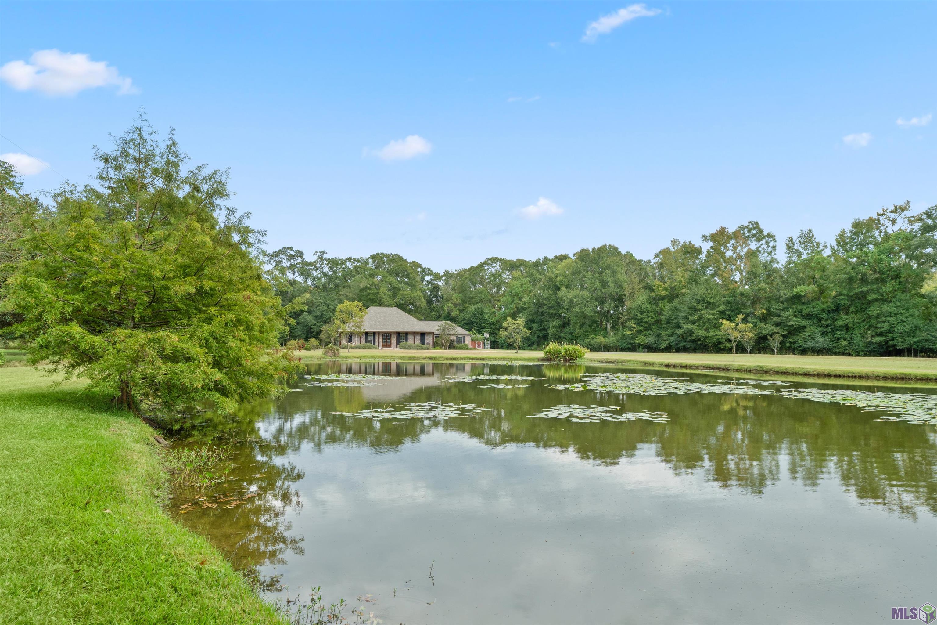 20788 MacHost Road Zachary, LA 70791 - Photo 4 of 55 Gallery Image 4