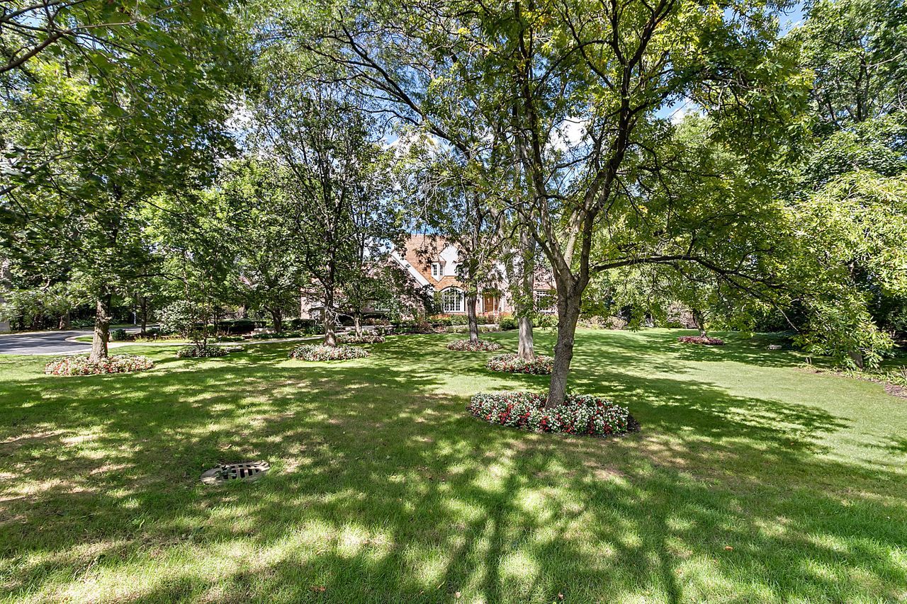 1130 Glenview Road Glenview, IL 60025 - Photo 64 of 66 a view of outdoor space with trees all around