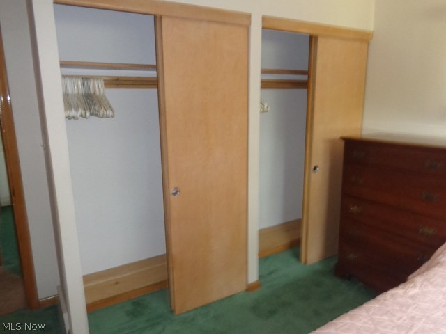 7870 Hoertz Road Cleveland, OH 44134 - Photo 10 of 17 Double Closets