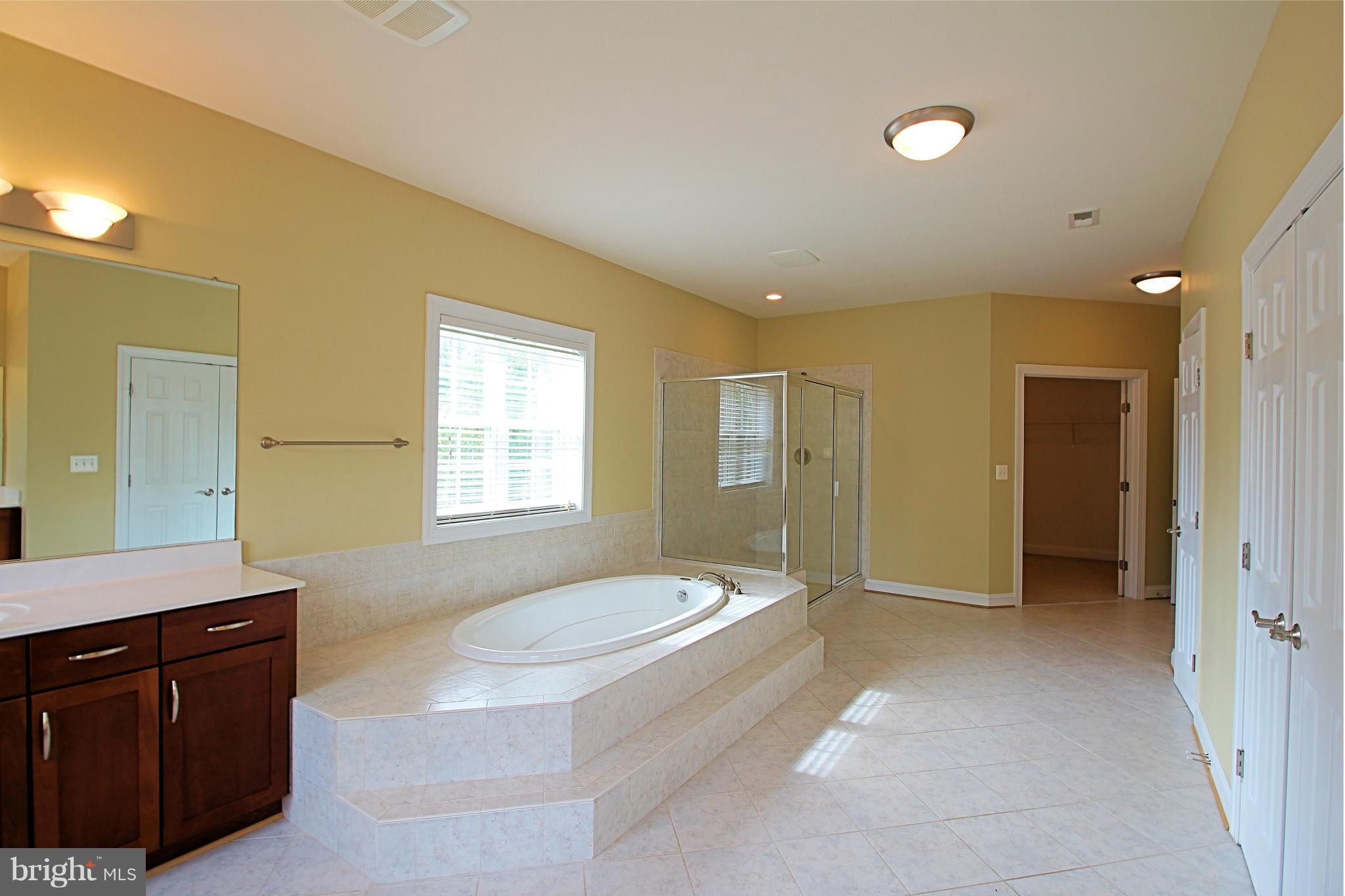 68 Willow Ridge Court Fredericksburg, VA 22406 - Photo 25 of 30 a spacious bathroom with a tub sink and mirror
