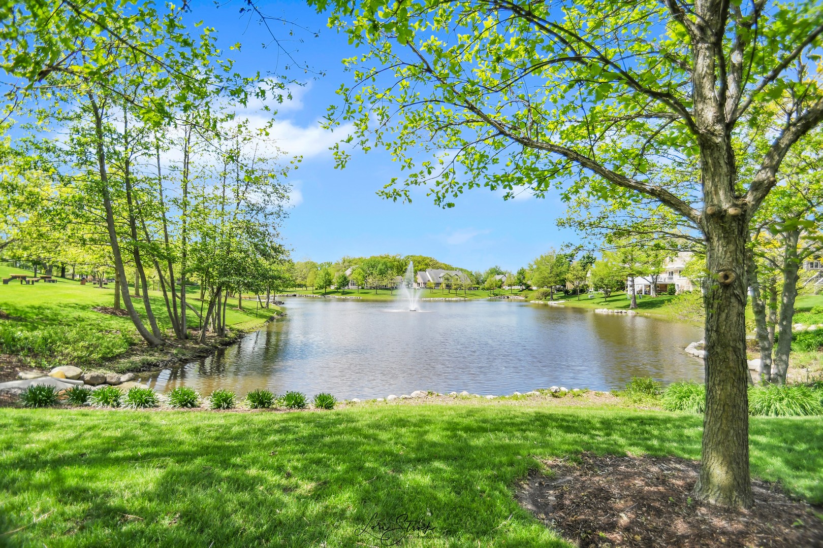 14406 Lake Ridge Road Orland Park, IL 60462 - Photo 3 of 35 a view of a lake with a yard
