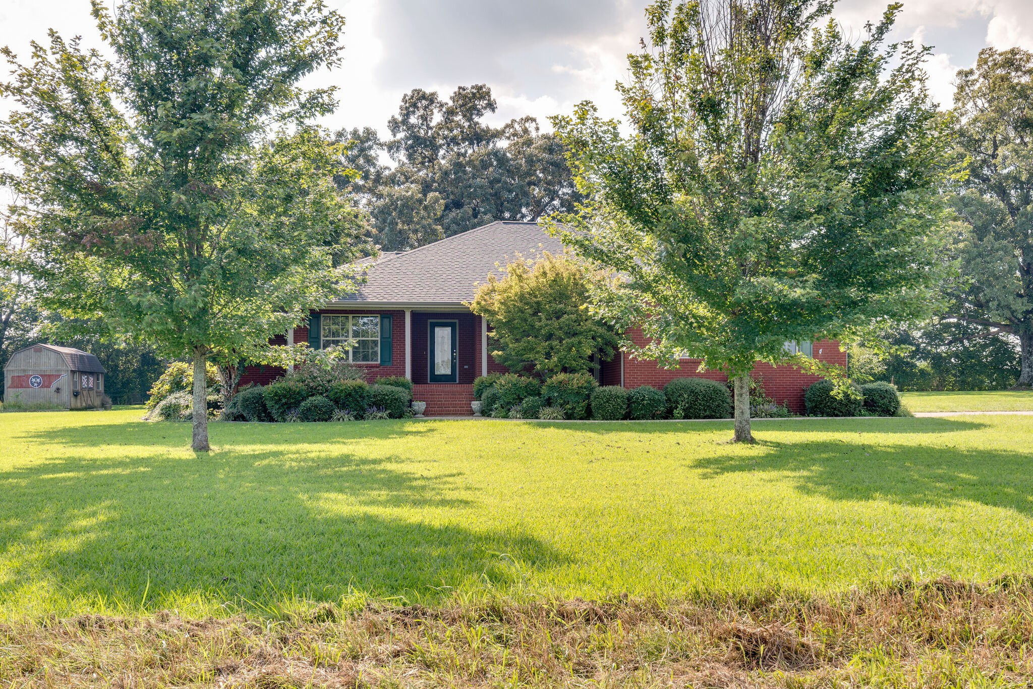 79 Jeans Road Fayetteville, TN 37334 - Photo 3 of 31 a view of swimming pool with a big yard and large trees