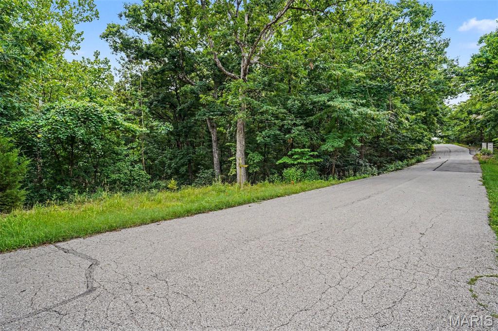 1524 Shalimar Ridge Lane High Ridge, MO 63049 - Photo 4 of 8 Gallery Image 4