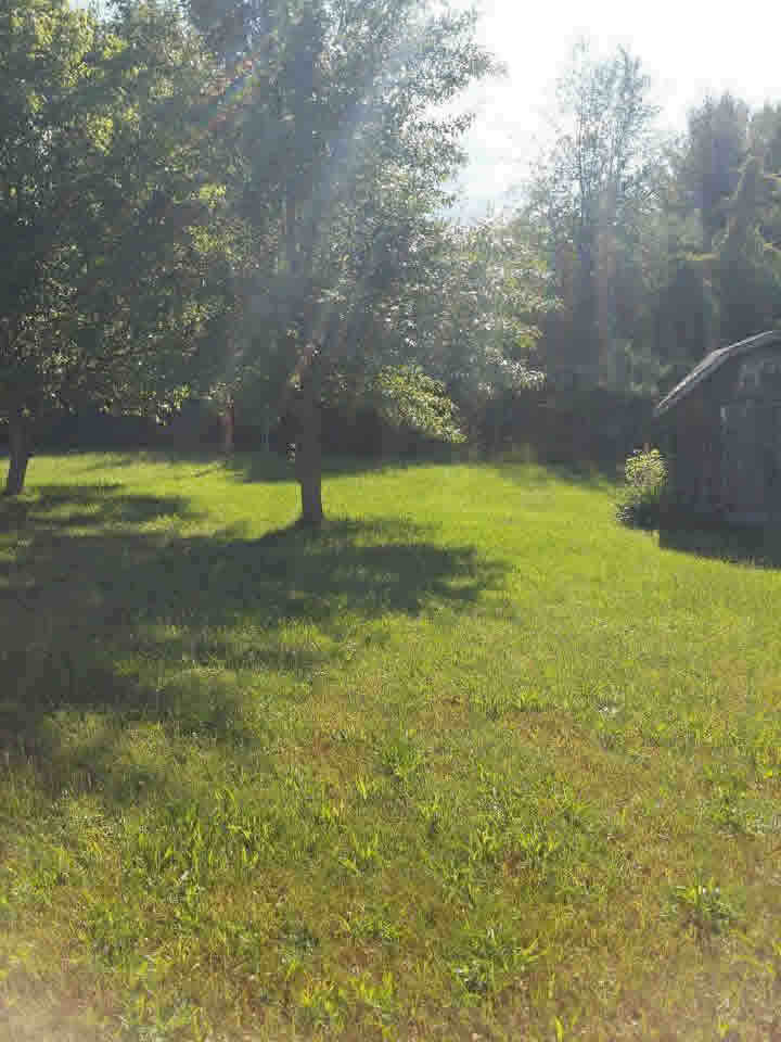 9866 Sheridan Road Millington, MI 48746 - Photo 39 of 43 Gallery Image 39