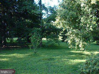 44 Carter Road Princeton, NJ 08540 - Photo 5 of 6