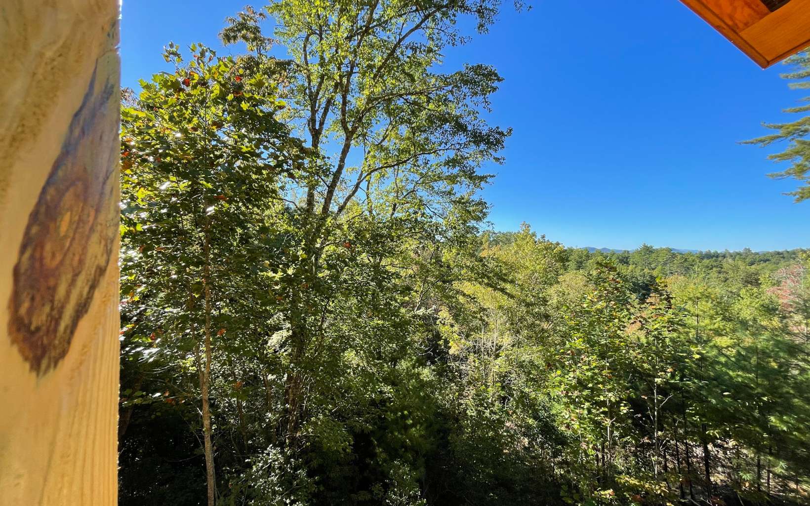 1281 Ranger Road Murphy, NC 28906 - Photo 21 of 23 a view of a yard