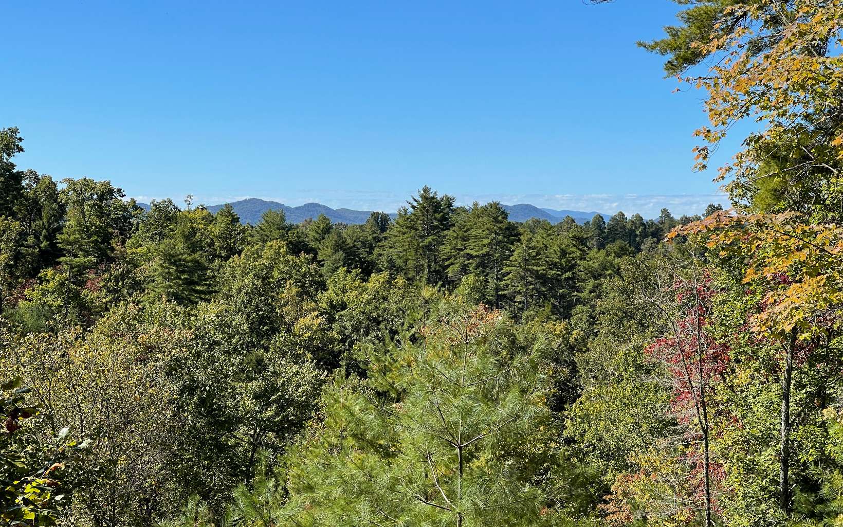 1281 Ranger Road Murphy, NC 28906 - Photo 6 of 23 a view of a field with a tree in the background