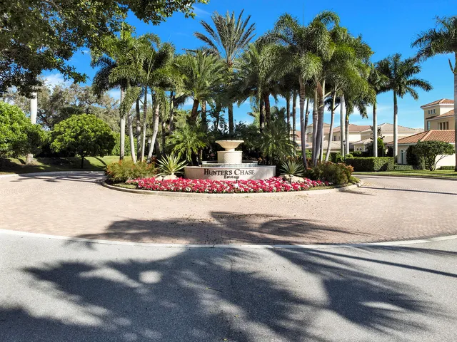 a view of a park with palm trees