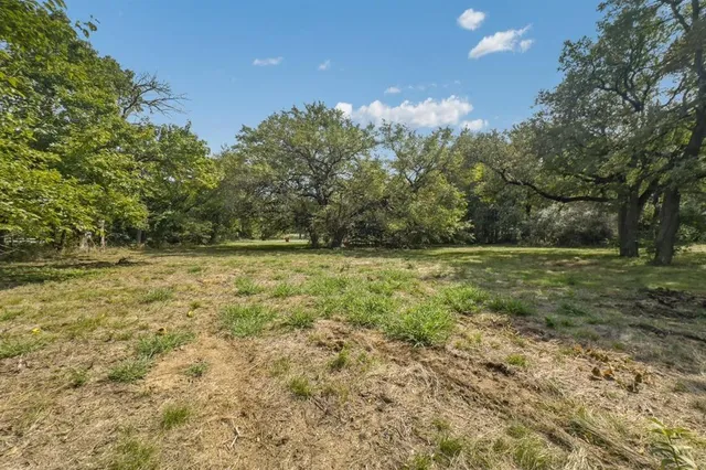 a view of a yard with a tree