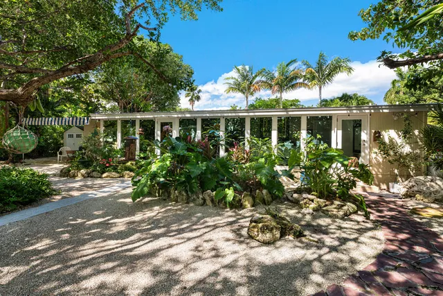 a view of a tree with a tree