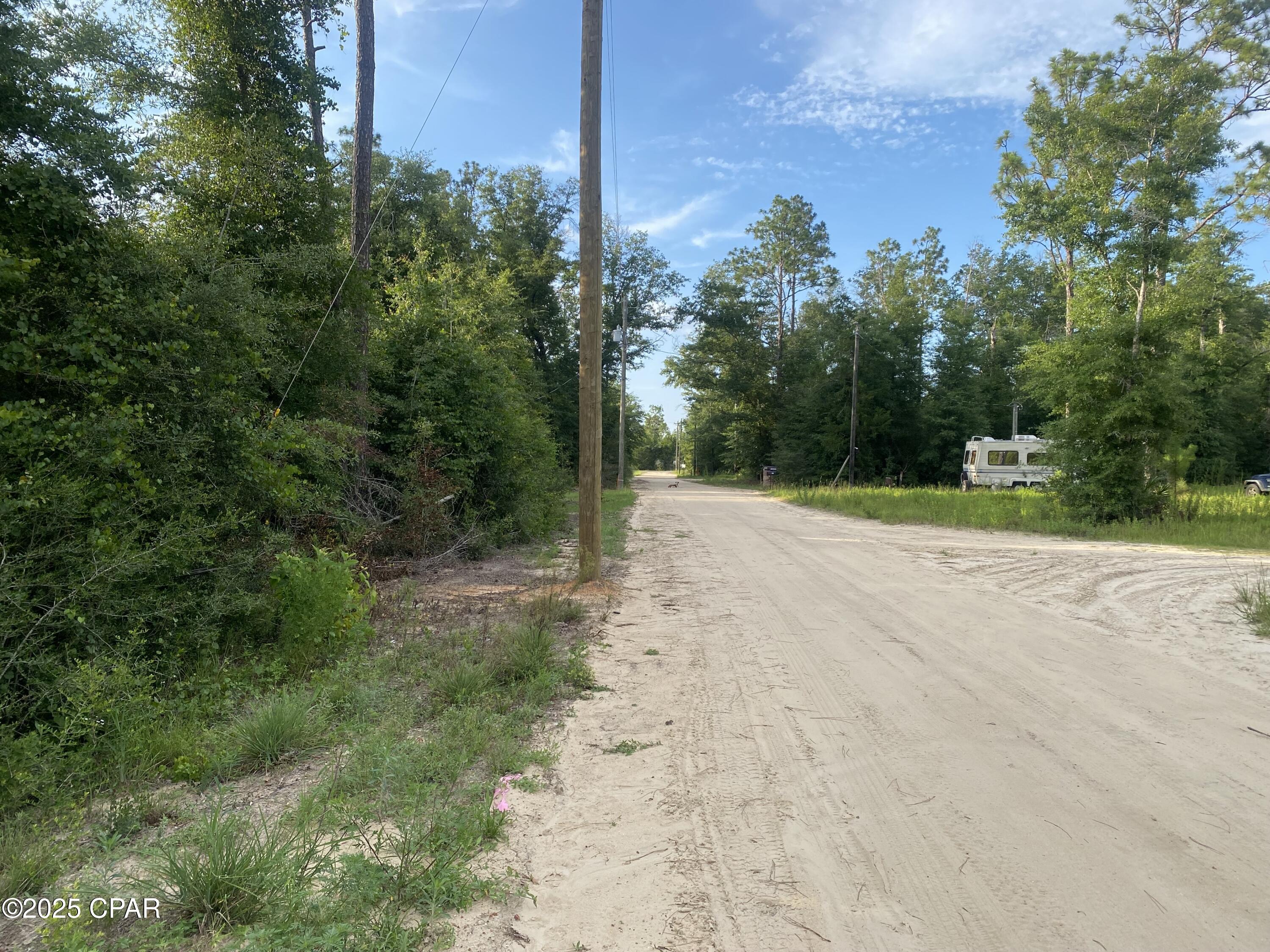 0 Northwest Tindal Drive Altha, FL 32421 - Photo 3 of 6