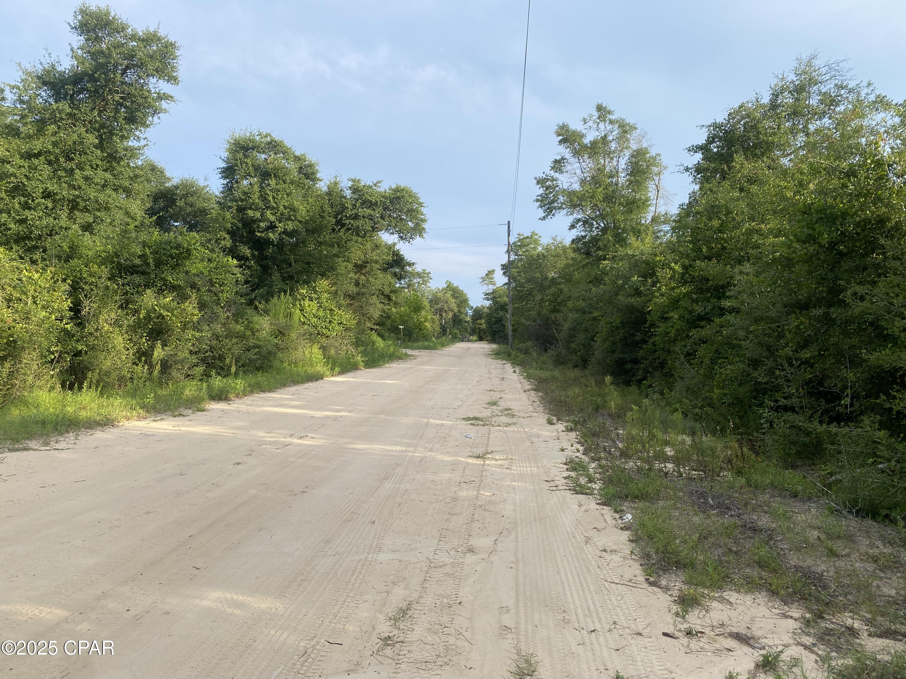 0 Northwest Tindal Drive Altha, FL 32421 - Photo 4 of 6