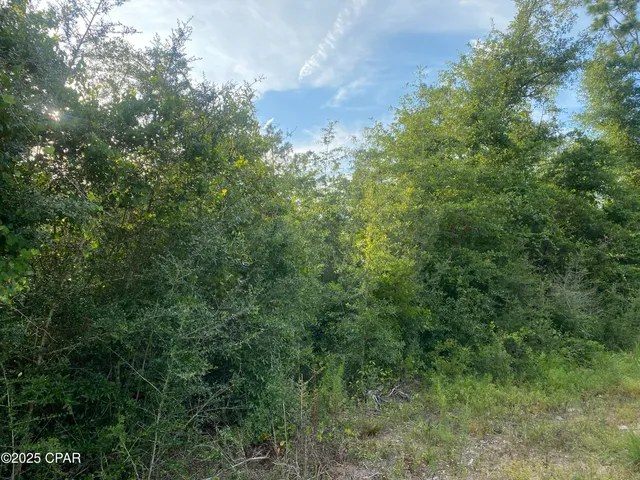 $9,000 | 0 Northwest Tindal Drive, Altha, FL 32421