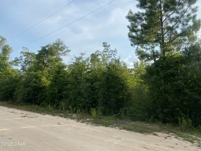 $9,000 | 0 Northwest Tindal Drive, Altha, FL 32421