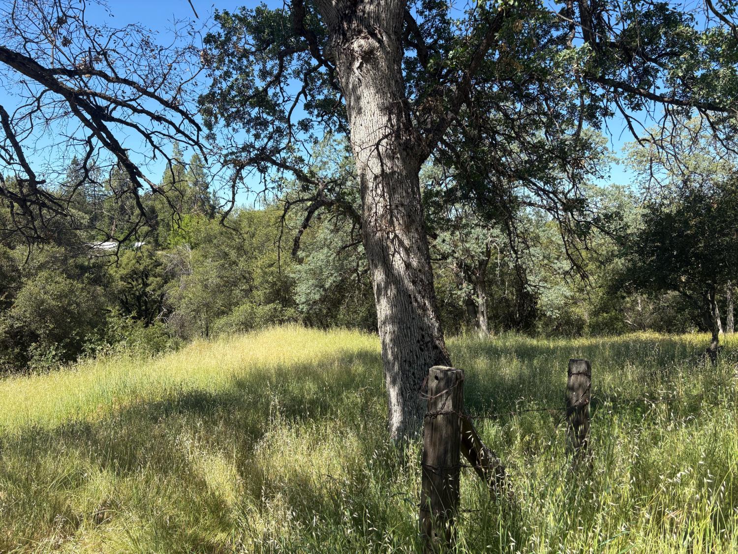 0 Sheep Ranch Road Mountain Ranch, CA 95246 - Photo 3 of 17