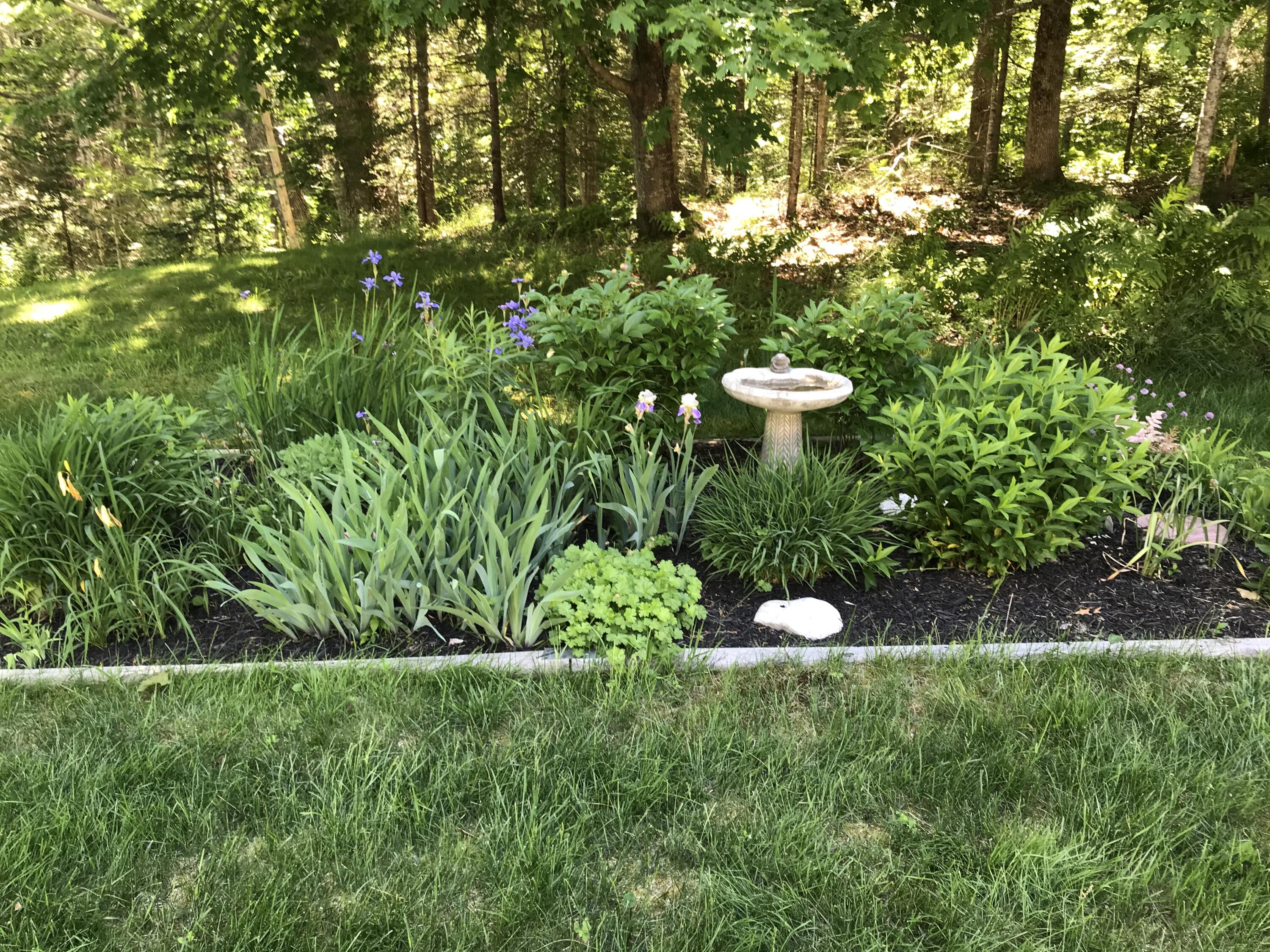 1435 Friendship Road Waldoboro, ME 04572 - Photo 51 of 58 IMG_2803 - Copy