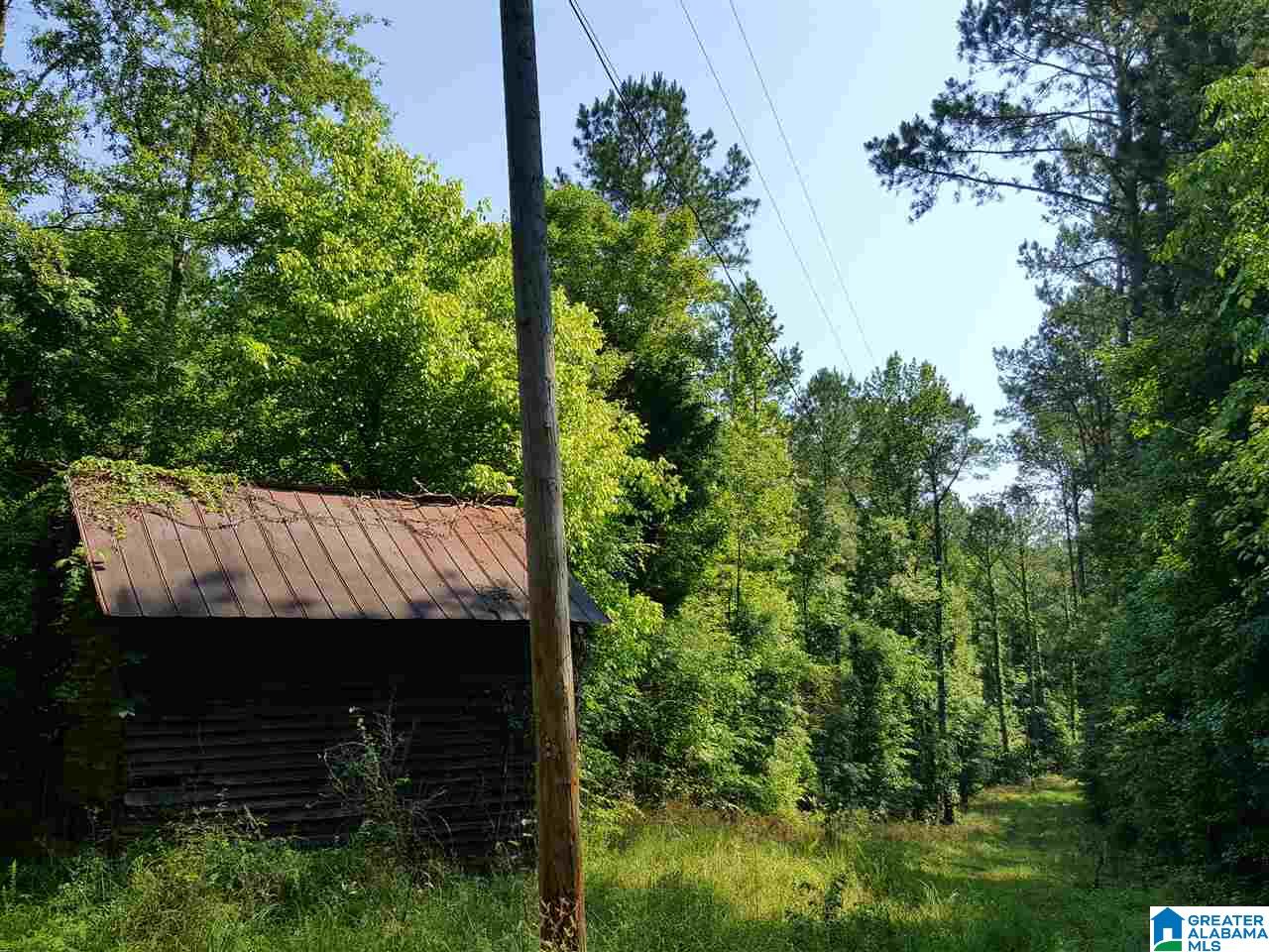 0 Chapman Road, Unit 175 Goodwater, AL 35072 - Photo 4 of 16