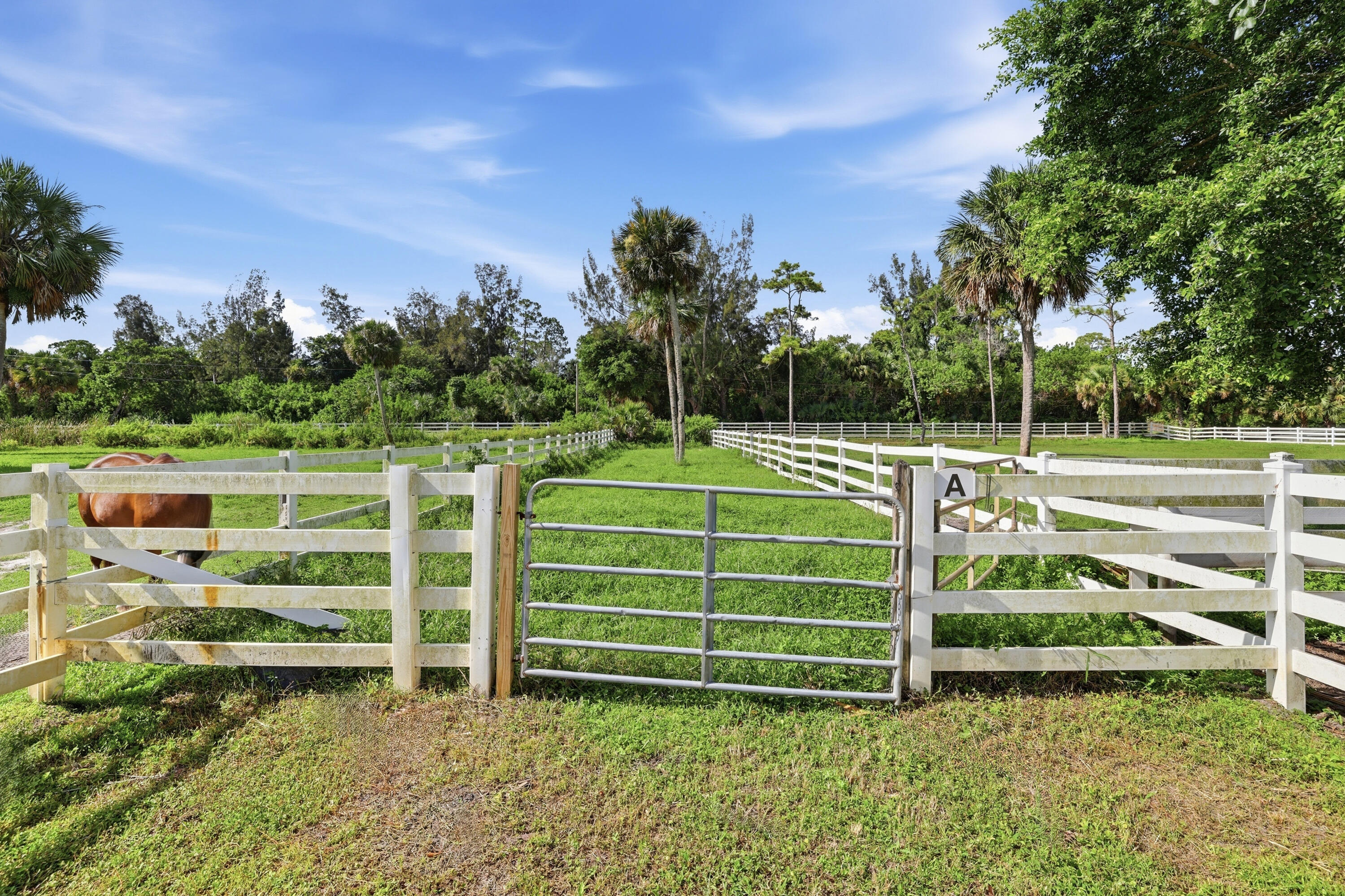 14095 Biddex Road Loxahatchee Groves, FL 33470 - Photo 52 of 69 a view of a chair and a small yard