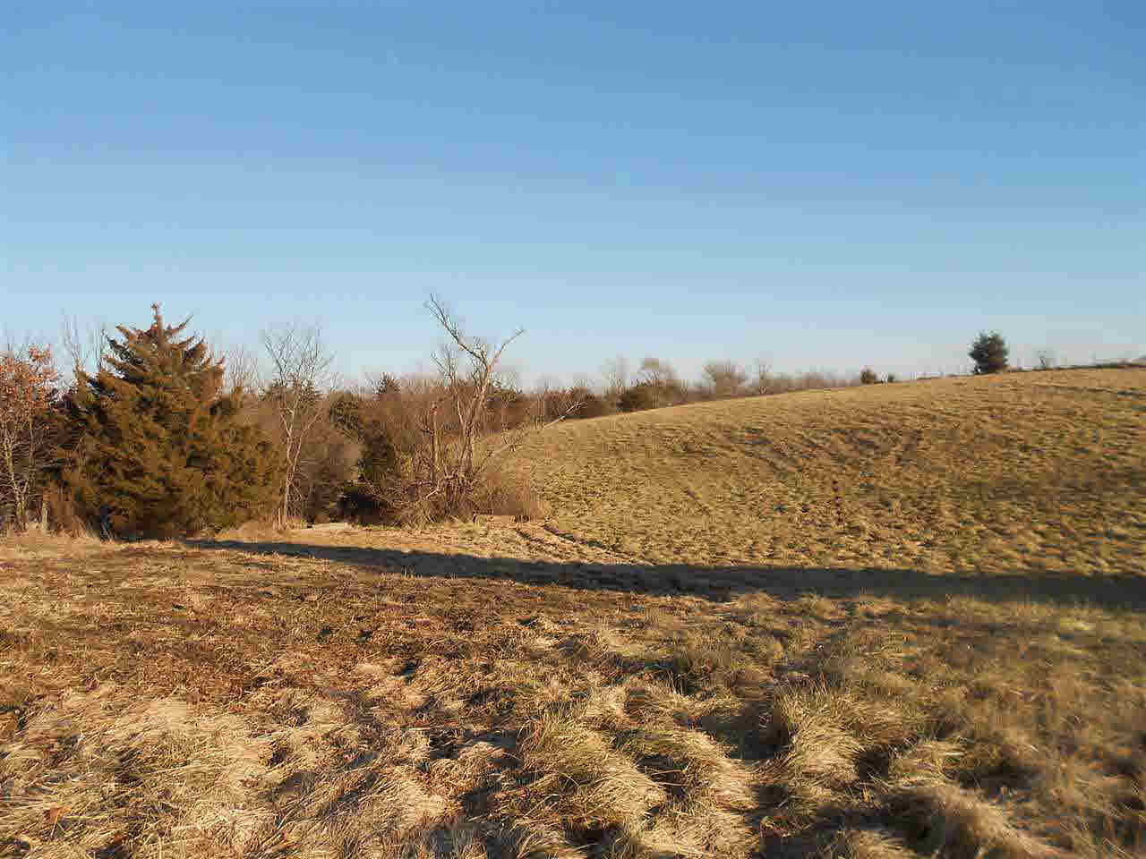 1825 Sweetland Road Muscatine, IA 52761 - Photo 6 of 10 Gallery Image 6