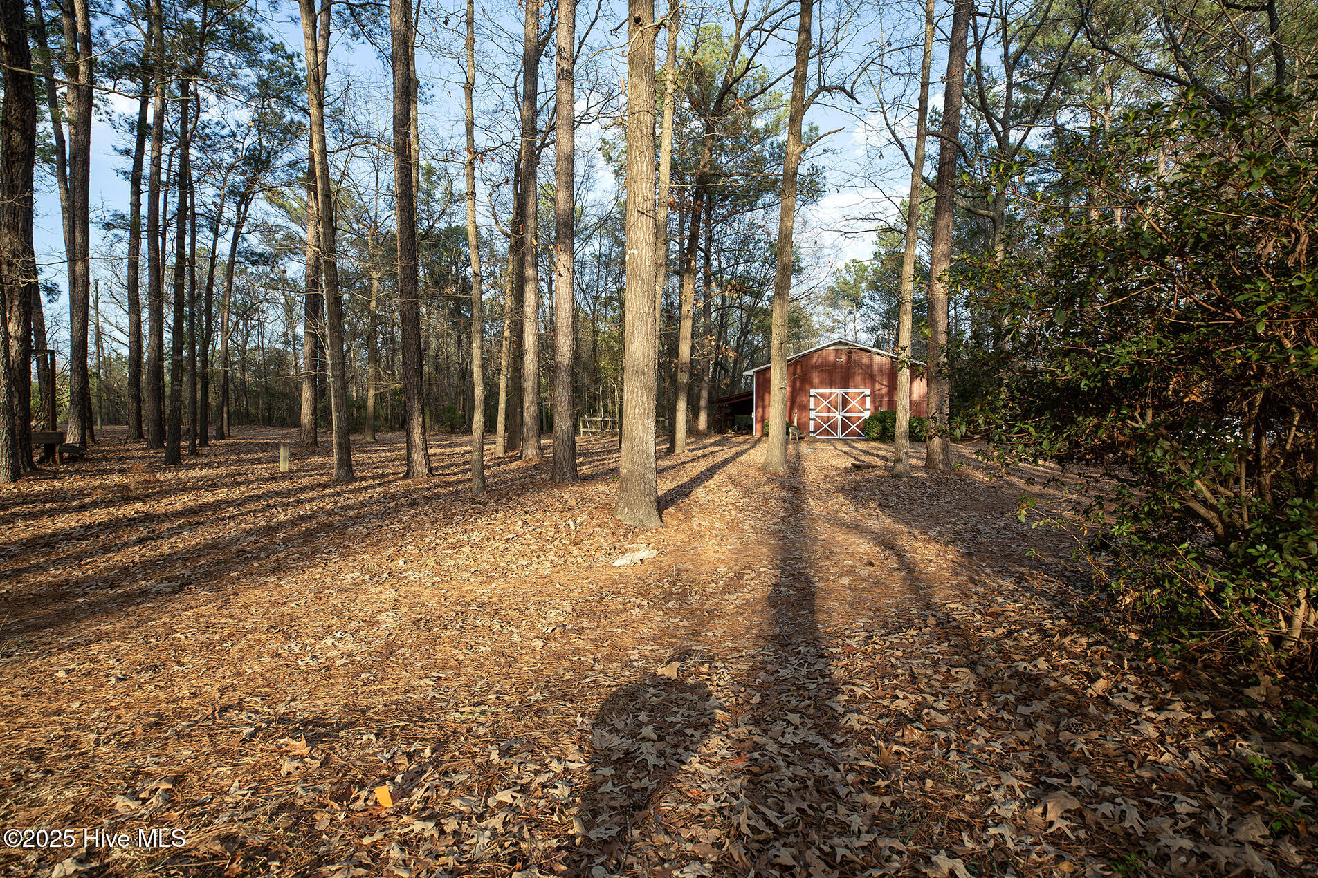 4424 Tuckahoe Road Ivanhoe, NC 28447 - Photo 67 of 71 Tuckahoe4424-landShaneL33A5472 copy